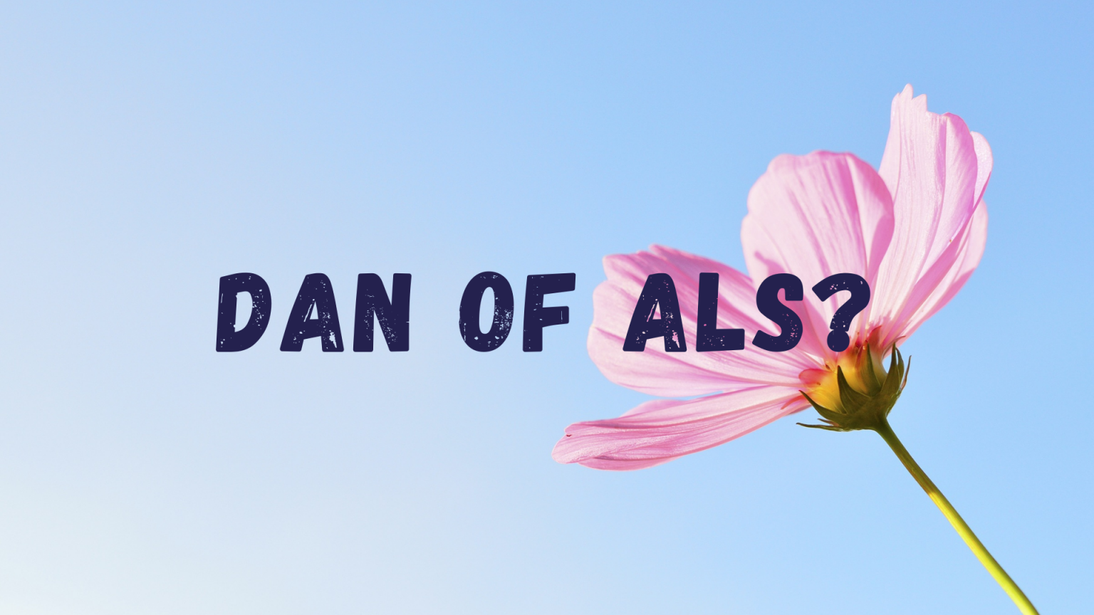 Het verschil tussen Mrs, Miss en Ms | De Taaltrainer